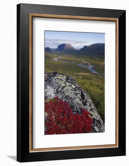 View Along Rapadalen Valley Towards Tjahkkelij, with Nammatj Mountain, Sarek Np, Sweden-Cairns-Framed Photographic Print