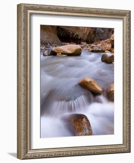 View Along the Hike Through the Zion Narrows in Southern Utah's Zion National Park-Kyle Hammons-Framed Photographic Print