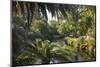View along the palm-fringed Avon River in Christchurch Botanic Gardens, Christchurch, Canterbury, S-Ruth Tomlinson-Mounted Photographic Print