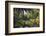 View along the palm-fringed Avon River in Christchurch Botanic Gardens, Christchurch, Canterbury, S-Ruth Tomlinson-Framed Photographic Print