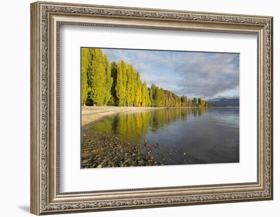 View along the shore of tranquil Lake Wanaka, autumn, Roys Bay, Wanaka, Queenstown-Lakes district, -Ruth Tomlinson-Framed Photographic Print