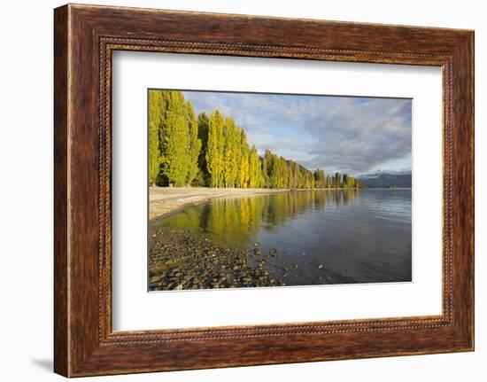 View along the shore of tranquil Lake Wanaka, autumn, Roys Bay, Wanaka, Queenstown-Lakes district, -Ruth Tomlinson-Framed Photographic Print