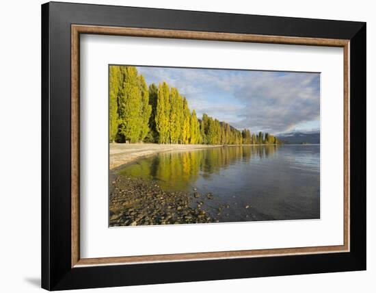 View along the shore of tranquil Lake Wanaka, autumn, Roys Bay, Wanaka, Queenstown-Lakes district, -Ruth Tomlinson-Framed Photographic Print