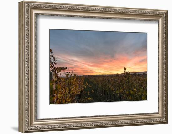 View at Breitenbrunn, Wine Fields, at Sundown, Austria-Volker Preusser-Framed Photographic Print