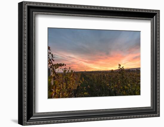 View at Breitenbrunn, Wine Fields, at Sundown, Austria-Volker Preusser-Framed Photographic Print