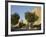 View at Sunset of the City Walls Promenade with Tower of David in Background, Old City, Jerusalem,-Eitan Simanor-Framed Photographic Print