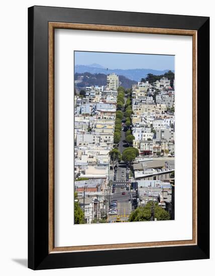 View Down Lombard Street, Russian Hill, San Francisco, California-Susan Pease-Framed Photographic Print