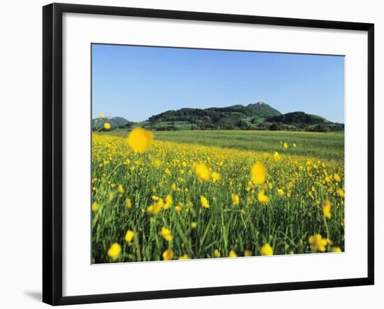 View from a Flower Meadow to Teckberg Mountain with Teck Castle-Markus Lange-Framed Photographic Print