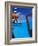 View from a Seaplane Cockpit of Man Swimming, Maldives, Indian Ocean-Papadopoulos Sakis-Framed Photographic Print