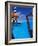 View from a Seaplane Cockpit of Man Swimming, Maldives, Indian Ocean-Papadopoulos Sakis-Framed Photographic Print
