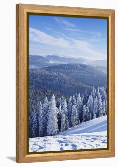View from Belchen Mountain to Feldberg Mountain in Winter, Black Forest, Baden-Wurttemberg, Germany-Markus Lange-Framed Premier Image Canvas