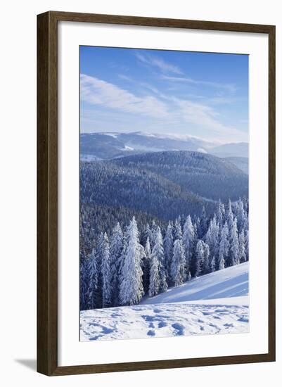 View from Belchen Mountain to Feldberg Mountain in Winter, Black Forest, Baden-Wurttemberg, Germany-Markus Lange-Framed Photographic Print