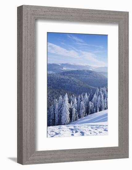 View from Belchen Mountain to Feldberg Mountain in Winter, Black Forest, Baden-Wurttemberg, Germany-Markus Lange-Framed Photographic Print