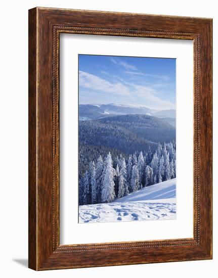 View from Belchen Mountain to Feldberg Mountain in Winter, Black Forest, Baden-Wurttemberg, Germany-Markus Lange-Framed Photographic Print
