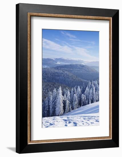 View from Belchen Mountain to Feldberg Mountain in Winter, Black Forest, Baden-Wurttemberg, Germany-Markus Lange-Framed Photographic Print