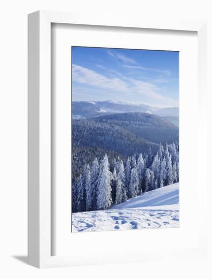 View from Belchen Mountain to Feldberg Mountain in Winter, Black Forest, Baden-Wurttemberg, Germany-Markus Lange-Framed Photographic Print