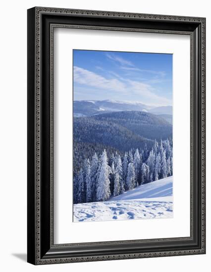 View from Belchen Mountain to Feldberg Mountain in Winter, Black Forest, Baden-Wurttemberg, Germany-Markus Lange-Framed Photographic Print