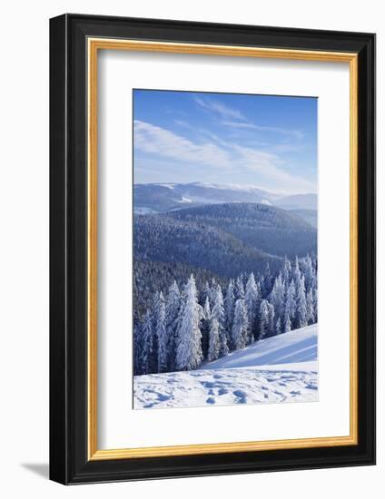 View from Belchen Mountain to Feldberg Mountain in Winter, Black Forest, Baden-Wurttemberg, Germany-Markus Lange-Framed Photographic Print