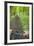 View from Bicycle Along Wooded Track, Uley, Gloucestershire, England-Peter Adams-Framed Photographic Print