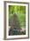 View from Bicycle Along Wooded Track, Uley, Gloucestershire, England-Peter Adams-Framed Photographic Print