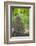 View from Bicycle Along Wooded Track, Uley, Gloucestershire, England-Peter Adams-Framed Photographic Print