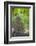 View from Bicycle Along Wooded Track, Uley, Gloucestershire, England-Peter Adams-Framed Photographic Print