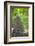 View from Bicycle Along Wooded Track, Uley, Gloucestershire, England-Peter Adams-Framed Photographic Print