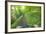 View from Bicycle Along Wooded Track, Uley, Gloucestershire, England-Peter Adams-Framed Photographic Print