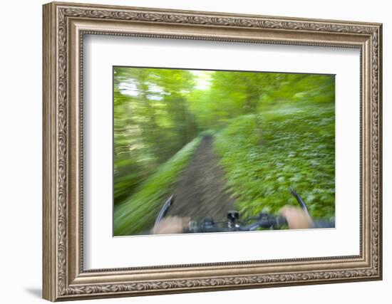 View from Bicycle Along Wooded Track, Uley, Gloucestershire, England-Peter Adams-Framed Photographic Print