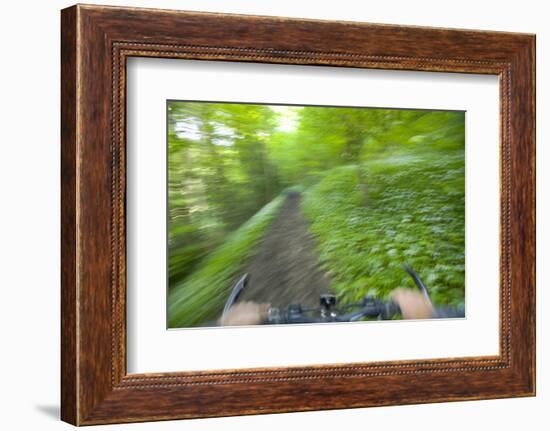 View from Bicycle Along Wooded Track, Uley, Gloucestershire, England-Peter Adams-Framed Photographic Print