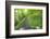 View from Bicycle Along Wooded Track, Uley, Gloucestershire, England-Peter Adams-Framed Photographic Print