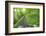 View from Bicycle Along Wooded Track, Uley, Gloucestershire, England-Peter Adams-Framed Photographic Print