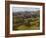 View from Castell Dinas Bran Towards Llantysilio Mountain and Maesyrychen Mountain, Wales-John Warburton-lee-Framed Photographic Print