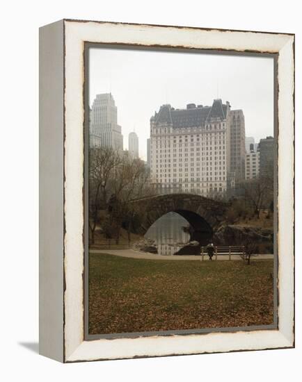 View from Central Park with Plaza Hotel in the Distance-Dmitri Kessel-Framed Premier Image Canvas