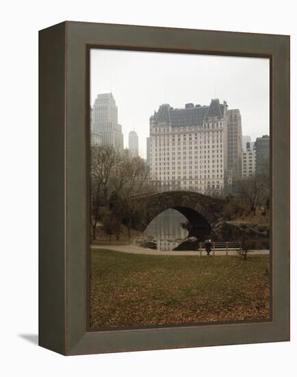 View from Central Park with Plaza Hotel in the Distance-Dmitri Kessel-Framed Premier Image Canvas