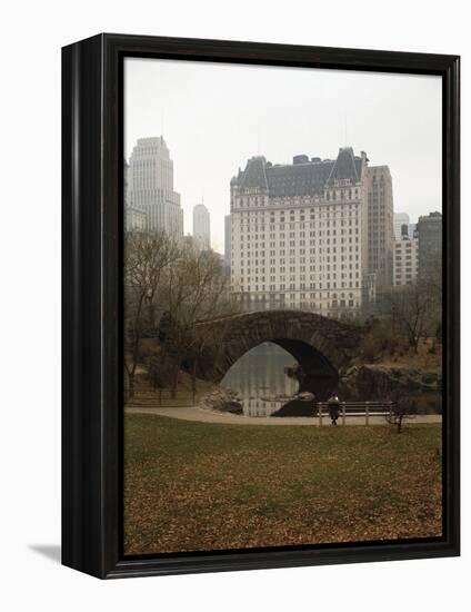 View from Central Park with Plaza Hotel in the Distance-Dmitri Kessel-Framed Premier Image Canvas