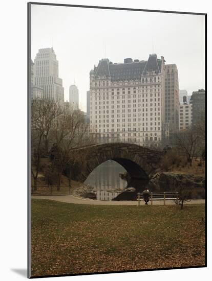 View from Central Park with Plaza Hotel in the Distance-Dmitri Kessel-Mounted Photographic Print