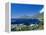 View from Chapman's Peak Drive, Near Cape Town, South Africa-Fraser Hall-Framed Premier Image Canvas