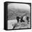 View from Clouds Rest over Tenaya Lake to the Distant Matterhorn, California, USA, 1902-Underwood & Underwood-Framed Premier Image Canvas