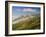 View from Col d'Aubisque, Pyrenees-Atlantique, Pyrenees, Aquitaine, France, Europe-David Hughes-Framed Photographic Print