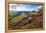 View from Derwent Edge, Peak District National Park, Derbyshire, England, United Kingdom, Europe-Frank Fell-Framed Premier Image Canvas