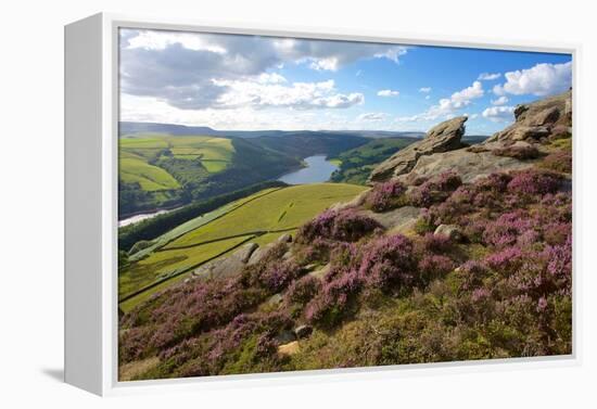 View from Derwent Edge, Peak District National Park, Derbyshire, England, United Kingdom, Europe-Frank Fell-Framed Premier Image Canvas