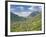 View from Dorf Tyrol over Merano, Towards Reschen Pass and Austria, Western Dolomites, Italy-James Emmerson-Framed Photographic Print