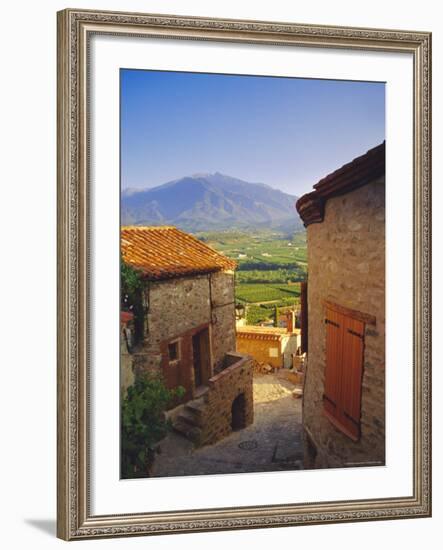 View from Eaus Village of Mont Canigou, Pyrenees-Orientale, Languedoc-Roussillon, Pyrenees, France-David Hughes-Framed Photographic Print