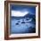 View from Elgol Beach to the Cuillin Hills, Isle of Skye, Scotland, UK-Nadia Isakova-Framed Photographic Print