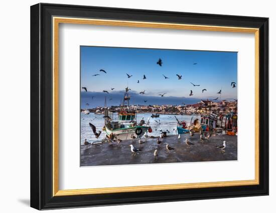 View from Fishing Harbour Towards Old Town, Lagos, Algarve, Portugal-Sabine Lubenow-Framed Photographic Print