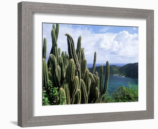 View from Fort Napoleon, Terre-De-Haut, Les Saintes, off Guadeloupe, French Antilles-Bruno Barbier-Framed Photographic Print