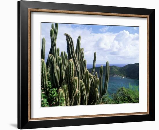 View from Fort Napoleon, Terre-De-Haut, Les Saintes, off Guadeloupe, French Antilles-Bruno Barbier-Framed Photographic Print