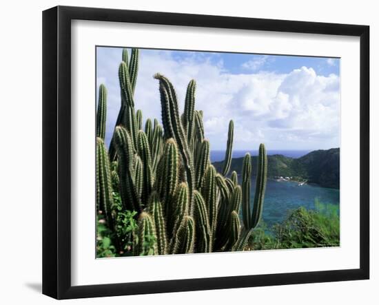 View from Fort Napoleon, Terre-De-Haut, Les Saintes, off Guadeloupe, French Antilles-Bruno Barbier-Framed Photographic Print