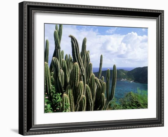 View from Fort Napoleon, Terre-De-Haut, Les Saintes, off Guadeloupe, French Antilles-Bruno Barbier-Framed Photographic Print